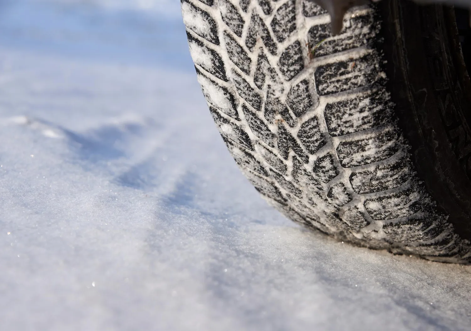 Dettaglio Gomma Da Neve Su Terreno Innevato